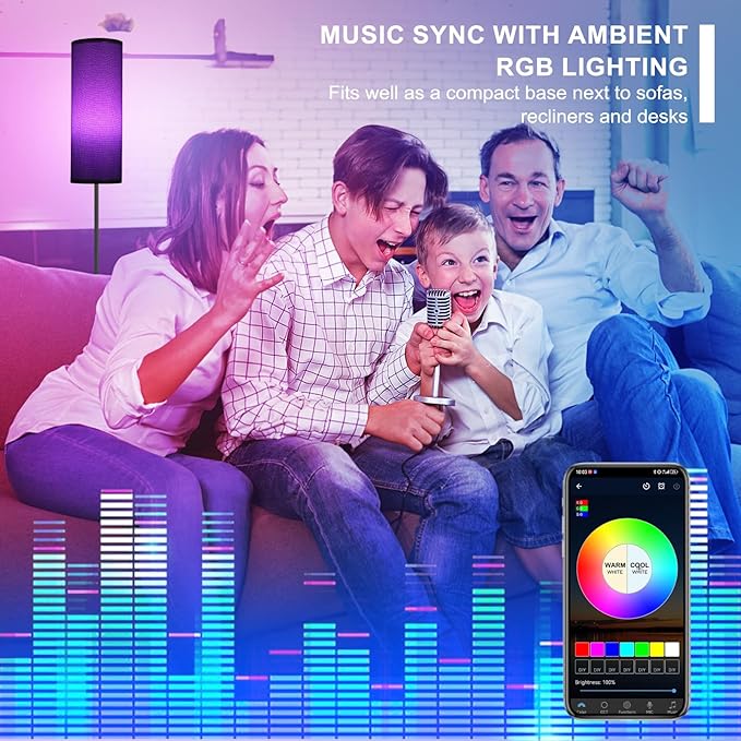 FRIDEKO HOME Gray Floor Lamps for Bedroom, Dimmable Colors Temperature & Brightness, Plug in Modern Floor Lamps for Living Room, Tall Standing Lamps for Office, Corner Lamp, 9W RGB LED Bulb