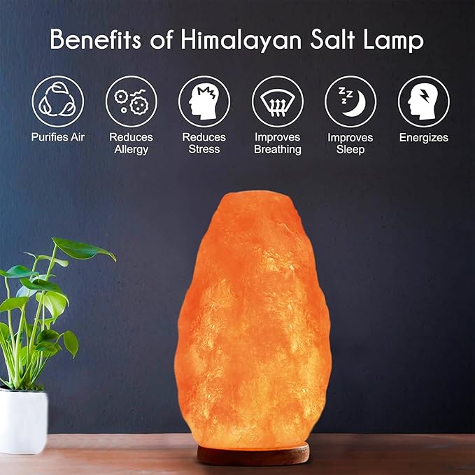 Himalayan Glow Salt Lamp with Dimmer Switch 5-7 lbs